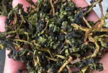 铁观音茶梗的冲泡方法-茗扬网