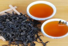 大红袍茶的适宜人群及功效作用-茗扬网