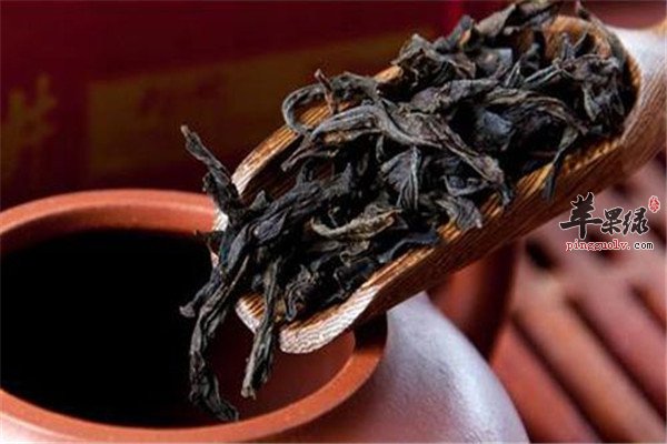 喝大红袍茶的好处 保护牙齿提高免疫