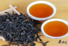 喝茶能保健 大红袍的保健效果-茗扬网