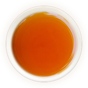 水金龟：武夷岩茶四大名丛之一