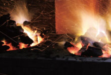 乘风破浪的武夷岩茶品牌化之路-茗扬网