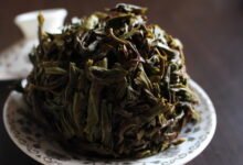 凤凰单丛茶的功效与作用 多少钱一斤-茗扬网