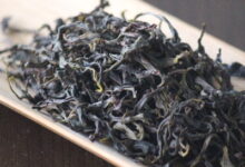 凤凰单丛茶是红茶吗 什么人不能喝-茗扬网