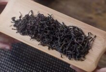 凤凰单丛的挑选方法,凤凰单丛的冲泡、品鉴方法-茗扬网