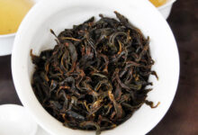 凤凰单枞的功效与禁忌 乌龙茶知识-茗扬网