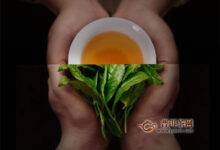 铁罗汉茶的功效与作用，有提神益思等作用！-茗扬网