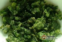 永春佛手采制工艺-茗扬网