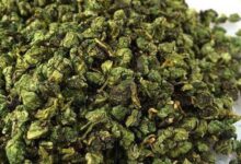 黄疸和黄金桂的区别-茗扬网