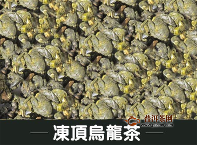 冻顶乌龙茶是绿茶吗