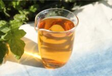 重识安溪乌龙茶:大叶乌龙、梅占-茗扬网