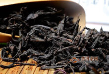 武夷山水金龟是什么茶？岩茶"四大名丛"之一-茗扬网