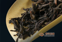 水金龟是乌龙茶吗-茗扬网