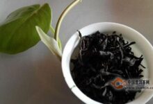 水金龟是什么茶-茗扬网