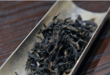 水金龟属于什么茶 “不可思议”的水金龟！-茗扬网