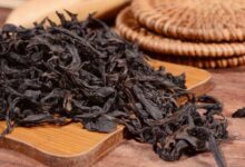 水金龟属于什么茶 水金龟茶的特点和价格-茗扬网