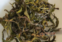 武夷山白鸡冠是什么茶？白鸡冠茶好喝吗-茗扬网