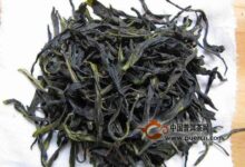 凤凰水仙属于什么茶-茗扬网