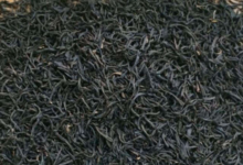 正山小种怎么区分好坏 适合上班族喝吗-茗扬网