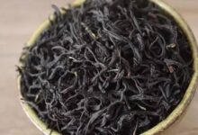 正山小种和老枞红茶的区别-茗扬网