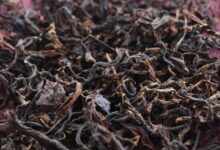 野生滇红茶如何泡 野生滇红茶的正确泡法-茗扬网