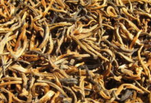 滇红茶红茶常喝有哪些利弊 怎么挑选-茗扬网