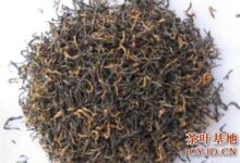 银骏眉是什么茶，银骏眉的品质特征-茗扬网