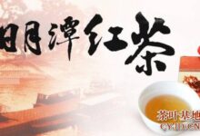 日月潭红茶是什么茶，日月潭红茶的品质特征-茗扬网
