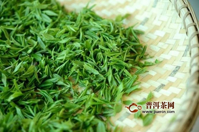 政和工夫茶怎么制作？政和工夫制茶工艺