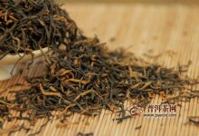 什么是越红工夫茶-茗扬网