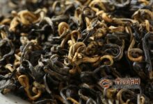 越红功夫茶的特征-茗扬网
