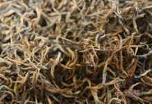 喝宜兴红茶有什么好处?宜兴红茶的特征-茗扬网