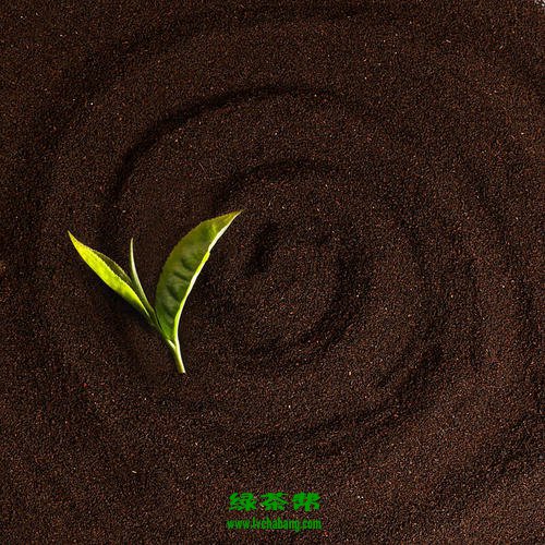 红碎茶是什么茶 红碎茶有哪些品种