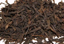 六堡茶可以天天喝吗 怎么泡-茗扬网