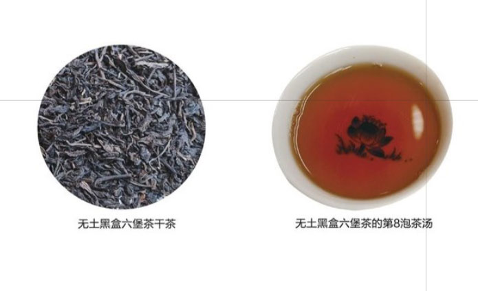 无“土”黑盒六堡茶品鉴记