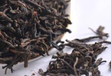 六堡茶的陈香味与霉味的区别,怎么判断六堡茶是否发霉-茗扬网