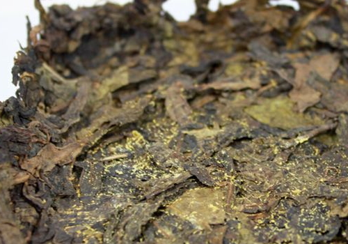 茯砖茶金花怎么来的 有什么作用