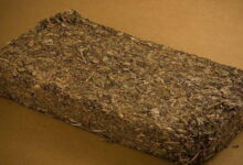 茯砖茶适合什么时候喝 是煮好还是泡好-茗扬网