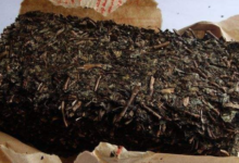 茯砖茶怎么喝  有什么功效-茗扬网