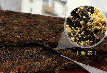 茯砖茶属于什么茶   和黑砖茶的区别-茗扬网