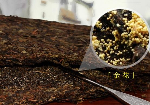 茯砖茶属于什么茶   和黑砖茶的区别
