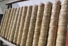 千两茶如何泡 千两茶冲泡方法-茗扬网