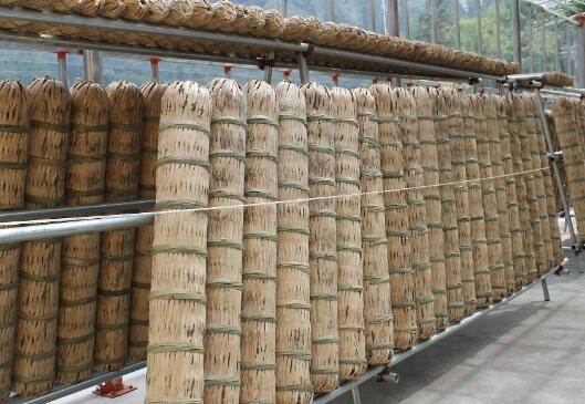 千两茶如何泡 千两茶冲泡方法