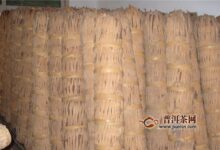 喝过的千两茶保存满足四个条件即可-茗扬网