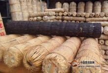 千两茶在家里收藏技巧有哪些？-茗扬网