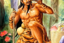 贡尖茶分类-茗扬网