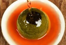 女性喝小青柑茶的危害-茗扬网