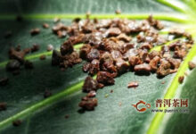 关于普洱茶膏,这篇可以解决一些问题-茗扬网