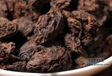 何为“老茶头”？如何鉴别老茶头的品质？-茗扬网