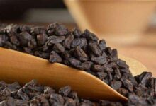 茶叶碎银子是什么茶-茗扬网